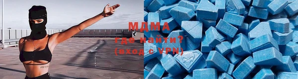шишки Арсеньев