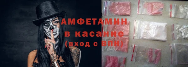 шишки Арсеньев