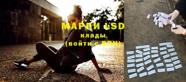 шишки Арсеньев