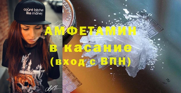 шишки Арсеньев