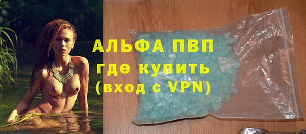 шишки Арсеньев