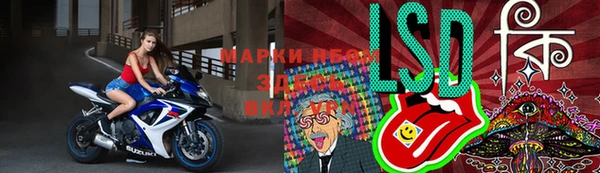 шишки Арсеньев