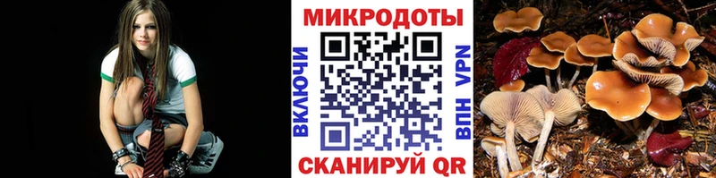 продажа наркотиков  Онега  Псилоцибиновые грибы Psilocybe 